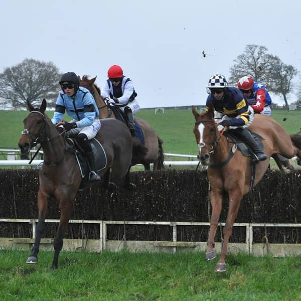 Horses jumping over hedge in Cheshire